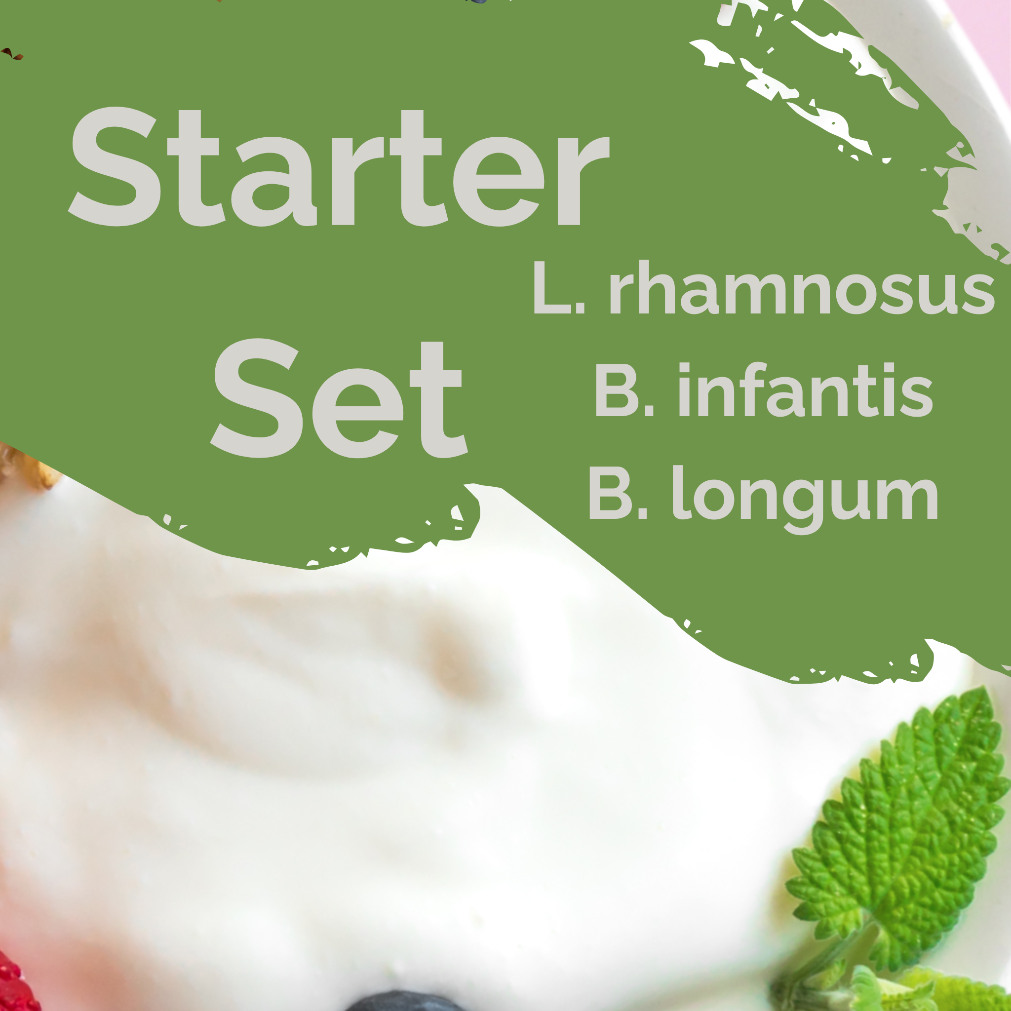 L. rhamnosus + B. infantis + B. longum | Ensemble de démarrage pour yaourt | Équilibre intestinal | Cultures de démarrage | Pack de 3