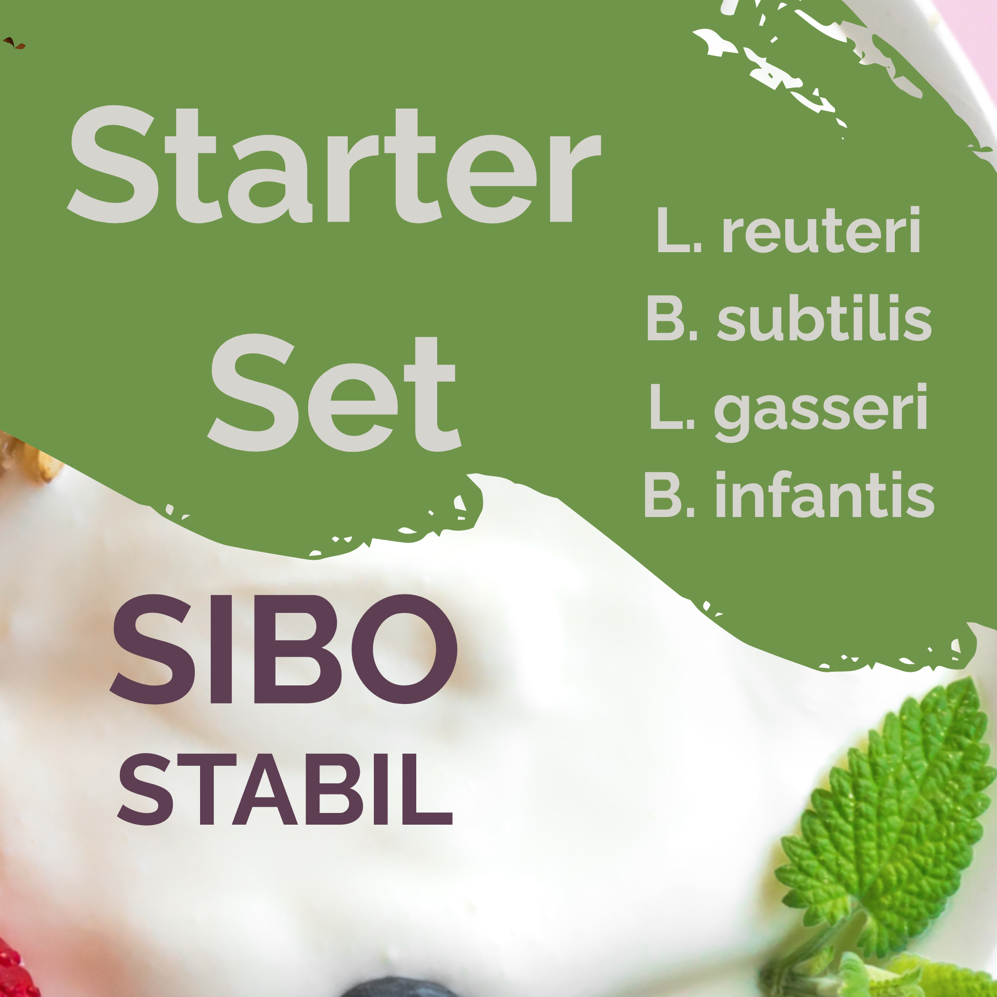 L. reuteri + L. gasseri + B. infantis + B. subtilis | Joghurt Starter Set | SIBOStable | Starterkulturen | Packung mit 3